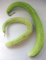 alficos